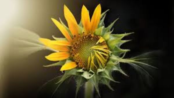 圖像處理基礎(chǔ)(6):銳化空間濾波器