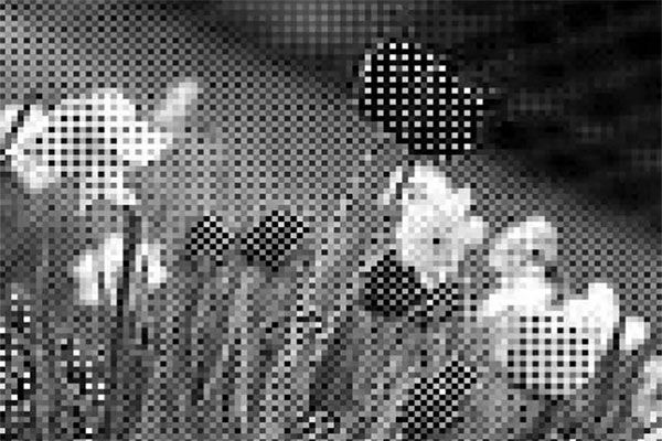 詳解相機(jī)是如何進(jìn)行顏色識別的